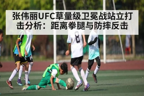 张伟丽UFC草量级卫冕战站立打击分析：距离拳腿与防摔反击 | kaiyun